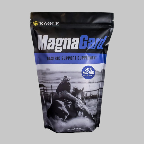 Gastric Support Supplement for Horses